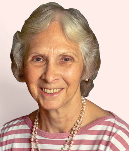 Virginia Sue Seibert